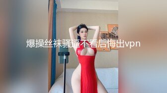 大奶肥臀少妇王素洁性爱视频