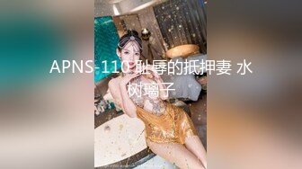 APNS-110 耻辱的抵押妻 水树璃子