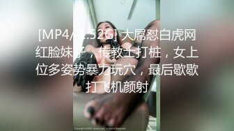 我和老婆后入第三季