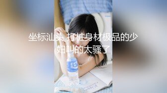 坐标汕头 打桩身材极品的少妇叫的太骚了