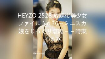 HEYZO 2528 放課後美少女ファイル No.36～ミニスカ娘をじっくり堪能～ – 時東くるみ