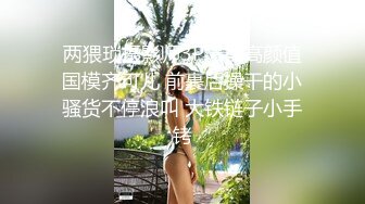 成都精品婊子