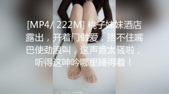 STP18292 麻豆传媒映画代理出品-吴梦梦监制-淫荡女中介 女业务员的售前性服务