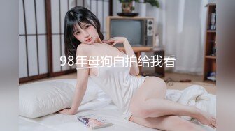 河豚抚子写真图包4套