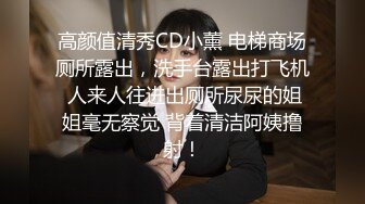 高颜值清秀CD小薰 电梯商场厕所露出，洗手台露出打飞机 人来人往进出厕所尿尿的姐姐毫无察觉 背着清洁阿姨撸射！