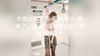 女仆装女友2