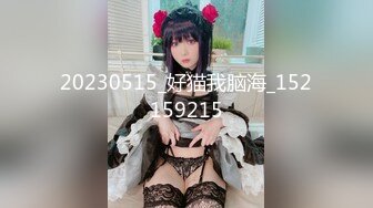 【新片速遞】91大神猫先生回归❤️冬奥会极品女神翻译官 顶级人气主播等各路美女[1030M/MP4]