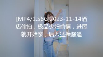 [MP4/1.56G]2023-11-14酒店偷拍，极品少妇偷情，进屋就开始亲，后入猛操骚逼