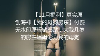 【白嫖】大肥牛放烟花