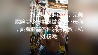 女仆少女 能否满足你的少女梦