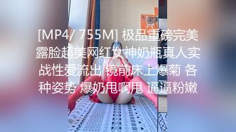 [德国] 再战女仆装少妇 （开头手势认证）