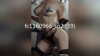 fc1160966_sp2 (39)