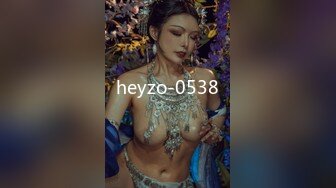 heyzo-0538