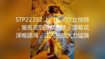 【重磅福利❤️泄密流出】大神流出作品 人前是高贵气质的美丽空姐 人后是淫荡的骚气母狗 终极反差调教第二番86P 43V