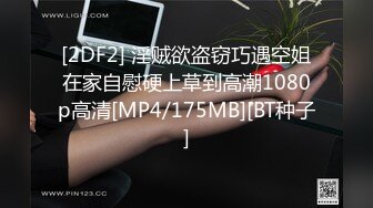 [2DF2] 淫贼欲盗窃巧遇空姐在家自慰硬上草到高潮1080p高清[MP4/175MB][BT种子]