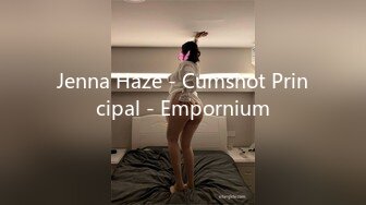 Jenna Haze - Cumshot Principal - Empornium