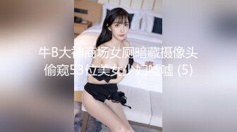 牛B大神商场女厕暗藏摄像头偷窥53位美女少妇嘘嘘 (5)