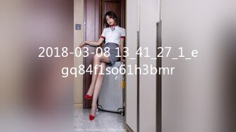 04女高极品母狗（系列一）