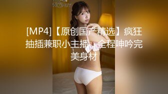 MD-0336爆乳候选人政见发表会