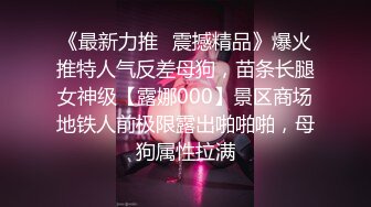 《最新力推✿震撼精品》爆火推特人气反差母狗，苗条长腿女神级【露娜000】景区商场地铁人前极限露出啪啪啪，母狗属性拉满