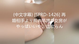 (中文字幕) [SPRD-1426] 再婚相手より前の年増な女房がやっぱいいや… 山吹らん