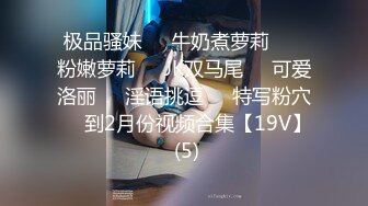 [MP4]麻豆传媒 MSD109 美乳少妇的报复 菜菜