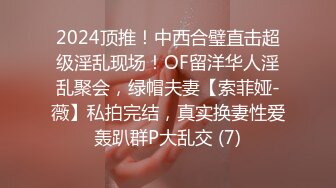 2024顶推！中西合璧直击超级淫乱现场！OF留洋华人淫乱聚会，绿帽夫妻【索菲娅-薇】私拍完结，真实换妻性爱轰趴群P大乱交 (7)