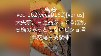 vec-162(vec00162)[venus]大失禁。～上品ぶってる淫乱奥様のみっともないビショ濡れ交尾～葵紫穂