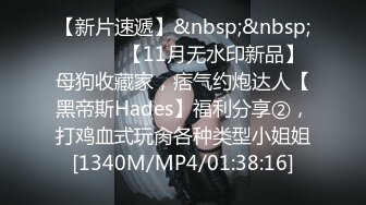 【新片速遞】&nbsp;&nbsp; ⚫️⚫️【11月无水印新品】母狗收藏家，痞气约炮达人【黑帝斯Hades】福利分享②，打鸡血式玩肏各种类型小姐姐[1340M/MP4/01:38:16]